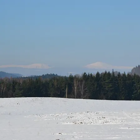 Apartament U Tatovy Lipy